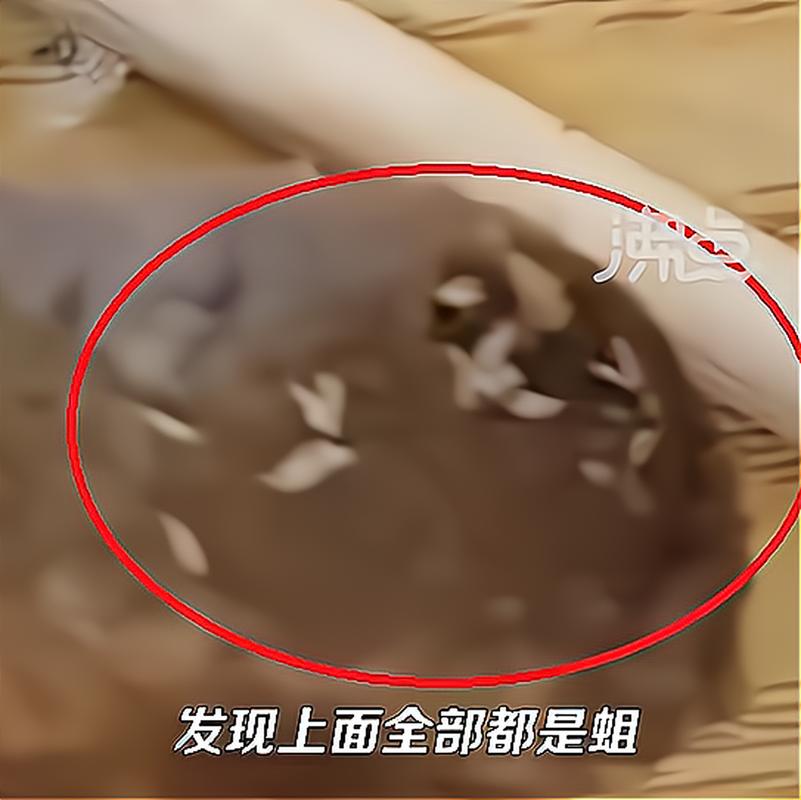 下载中心 第9页